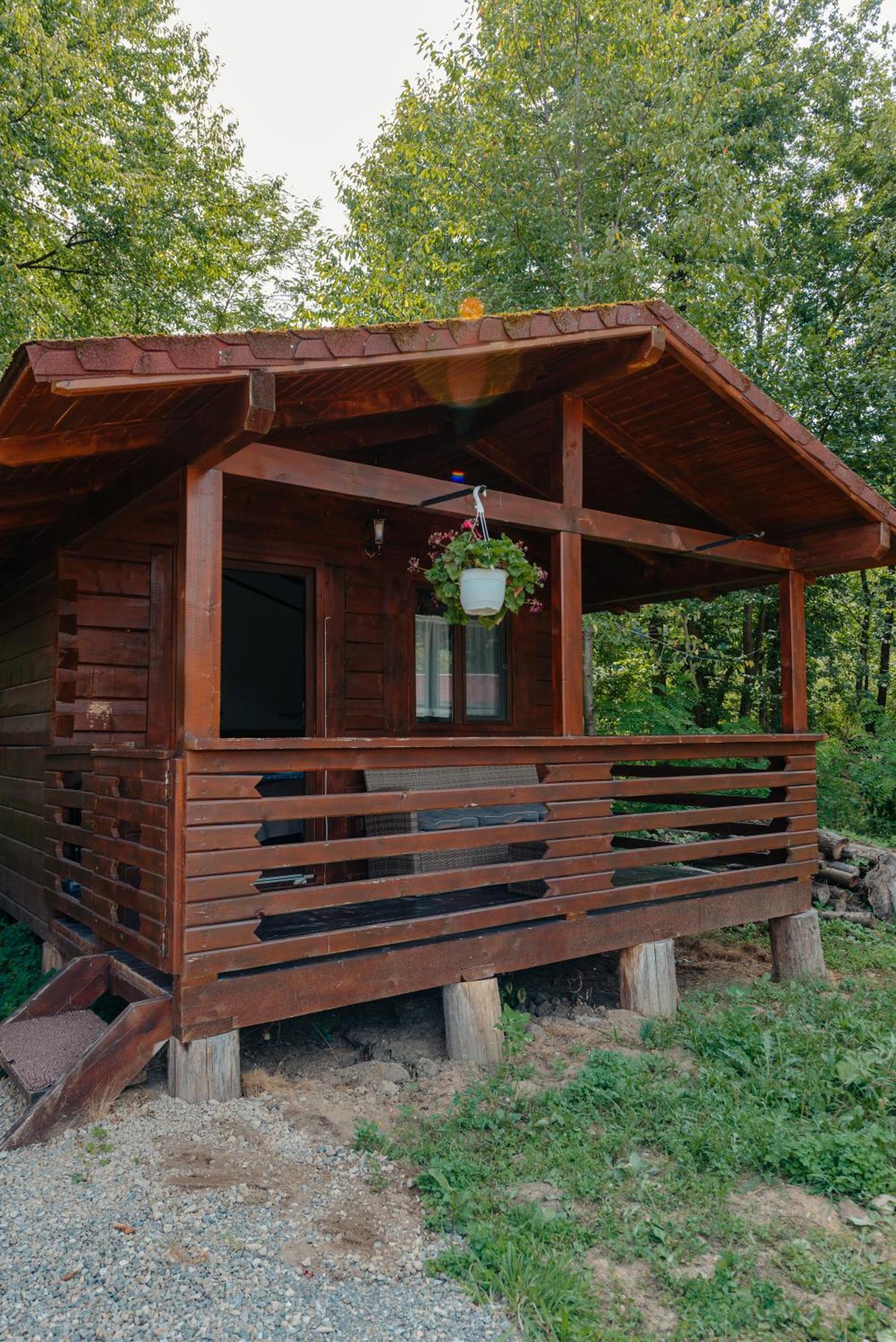 Pensiunea Mirabilandia Negreni Exterior photo